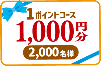 1ポイントコース 1,000円分 2,000名様