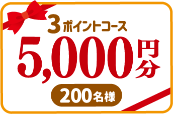 3ポイントコース 5,000円分 200名様