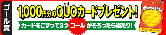 S[܁F1000~QUOJ[hv[gI
