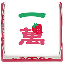 2505_fkro_annin15J_1