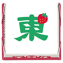 2505_fkro_annin15J_13