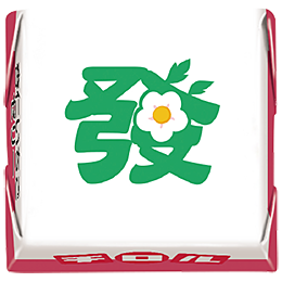 2505_fkro_annin15J_18