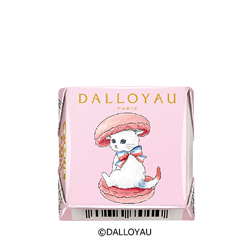チロルチョコ〈ダロワイヨあまおうニャカロン〉