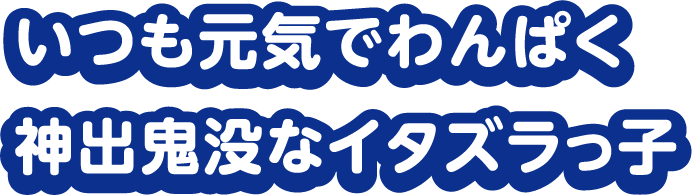 いつも元気でわんぱく 神出鬼没なイタズラっ子